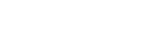 Logo after scroll